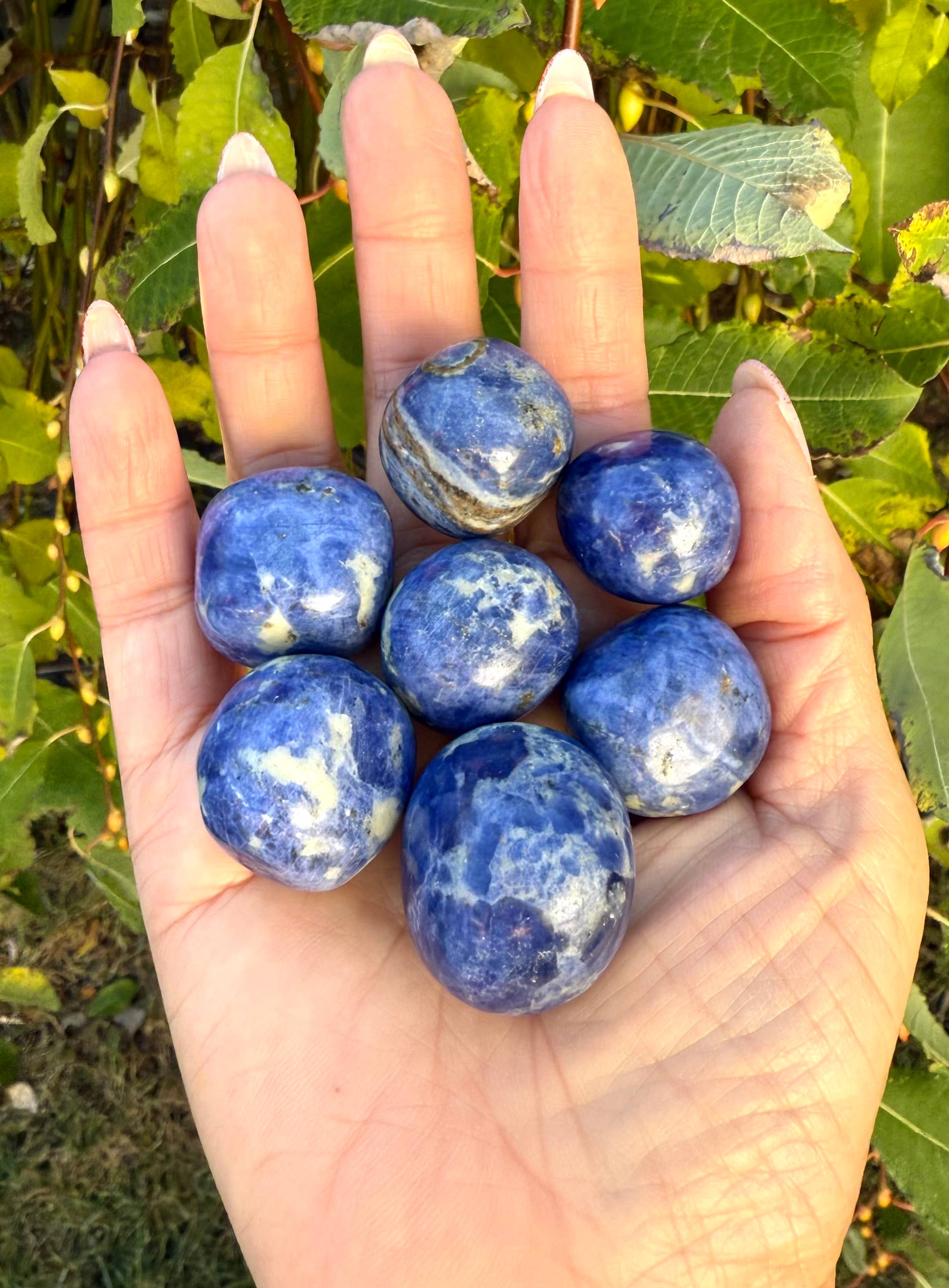 Sodalite Tumbled Crystal
