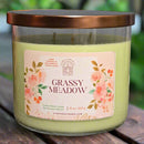 Grassy Meadow