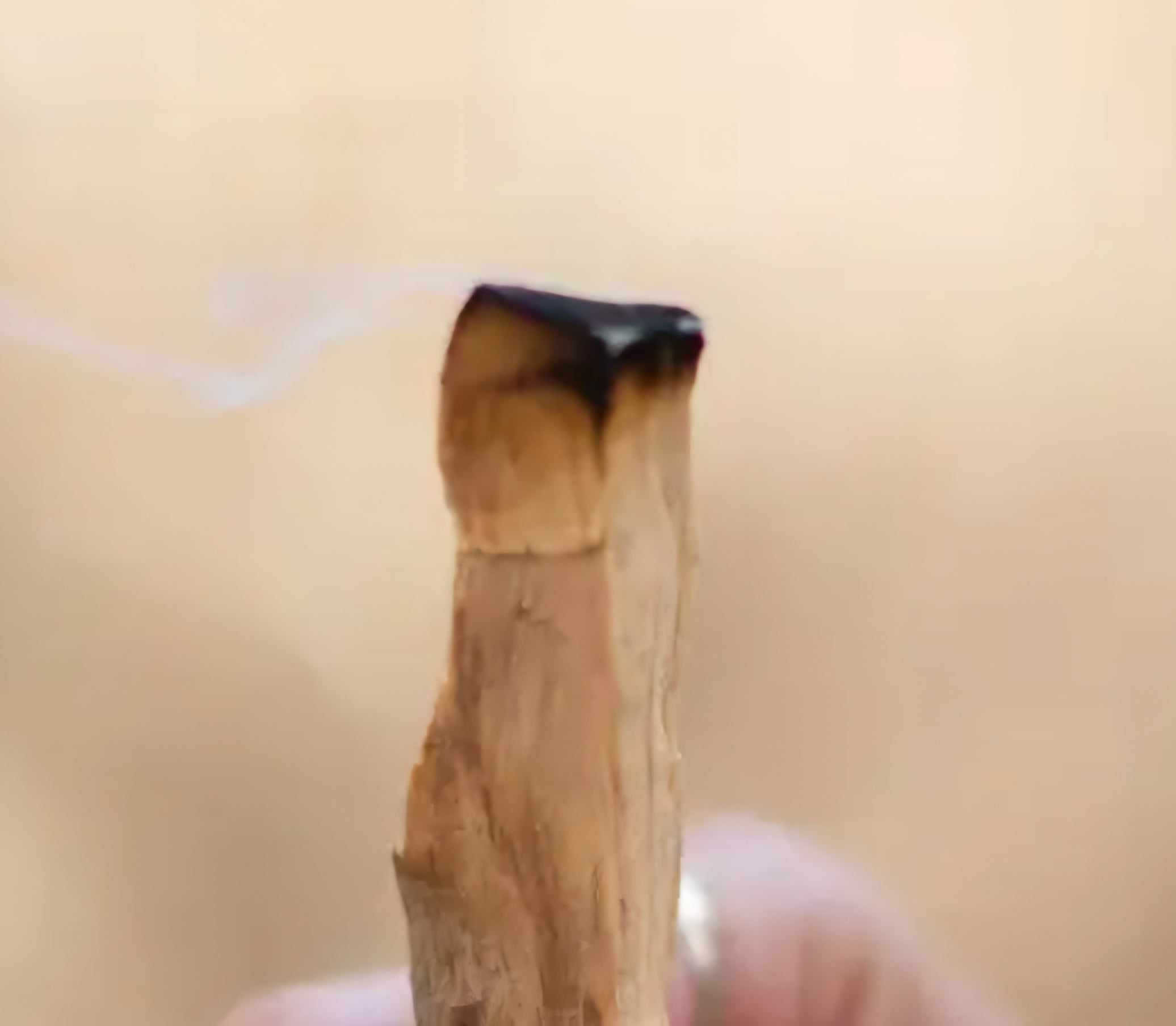 Palo Santo
