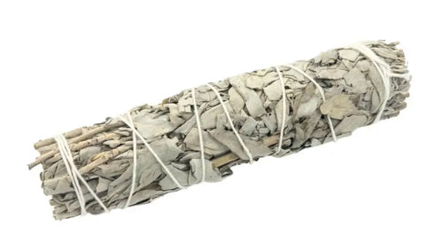 Medium White Sage